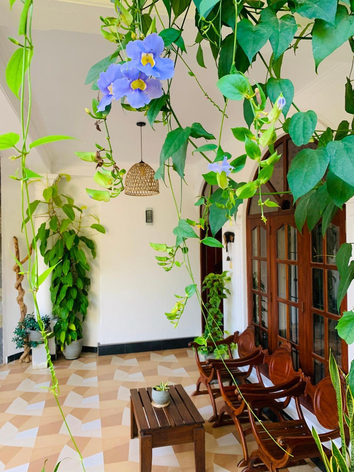 דיקוולה Breeze Bay Villa מראה חיצוני תמונה